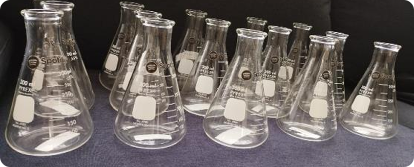 Spotify Wrapped Merch